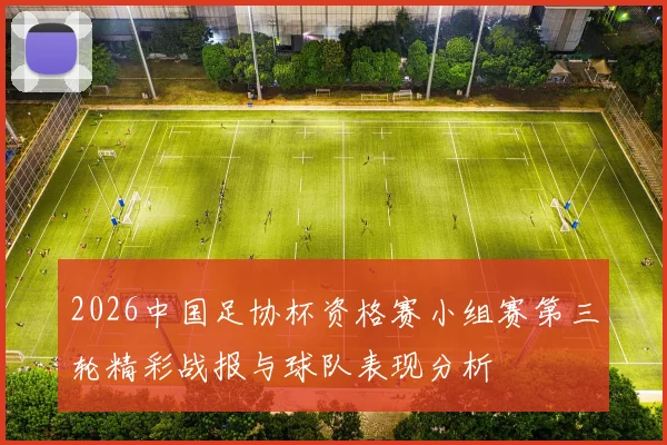 2026中国足协杯资格赛小组赛第三轮精彩战报与球队表现分析