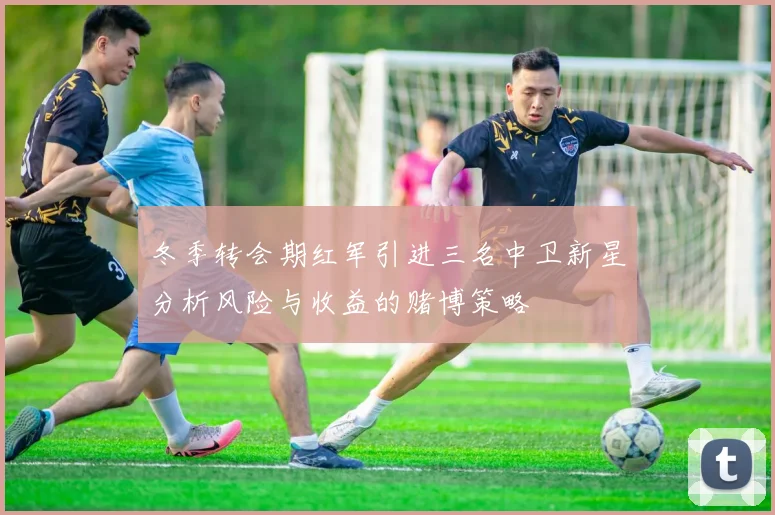 冬季转会期红军引进三名中卫新星分析风险与收益的赌博策略